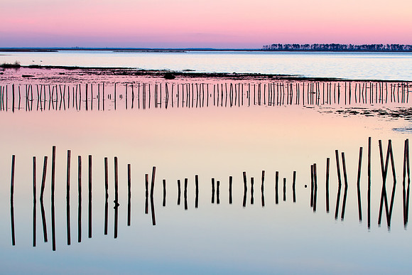 Blackwater Sunset