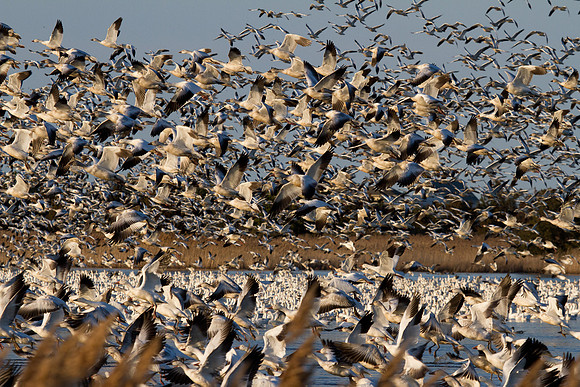 Prime_Hook-20120223-0035