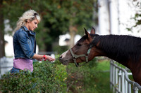 Janow Podlaski Stud Farm, Poland