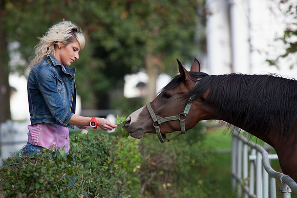 Janow Podlaski Stud Farm, Poland