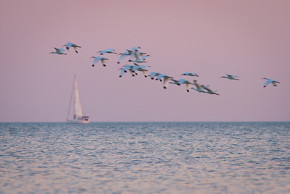 Florida-20120129-9164-Edit