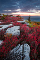 Dolly_Sods_8539