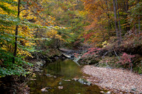 2023 Scotts Run Hike