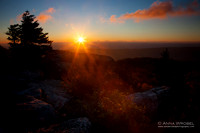 Dolly Sods Sunrise, WV 2016