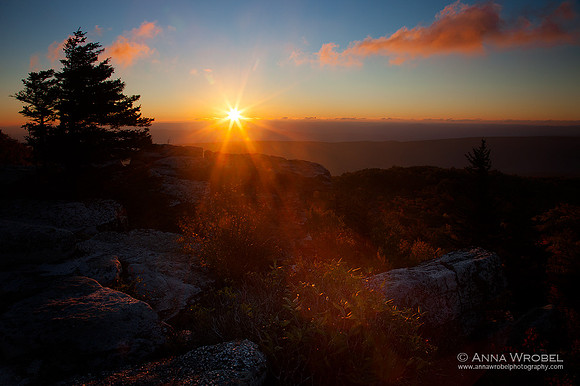 Dolly Sods Sunrise, WV 2016